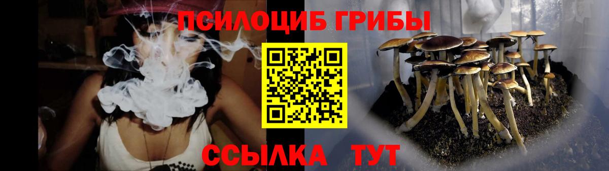 Псилоцибиновые грибы ЛСД  Вход с VPN  Псилоцибиновые грибы Cubensis  Касимов 